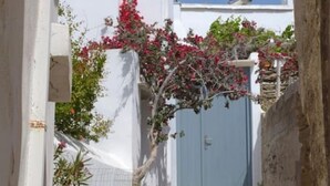 Property grounds - Amberi, Tinos in Panormos (Panormos)