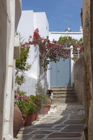 Property grounds - Amberi, Tinos in Panormos (Panormos)
