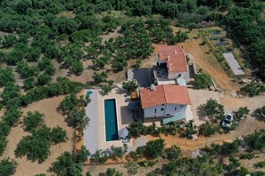 Eine Luftaufnahme eines zweistöckigen Hauses mit Schwimmbecken, umgeben von üppiger Bepflanzung.