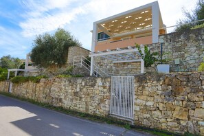 Exterior - Villa Stelios in Paxi (Paxi)