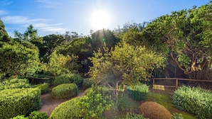 A well-maintained garden with various shrubs and a small water feature.