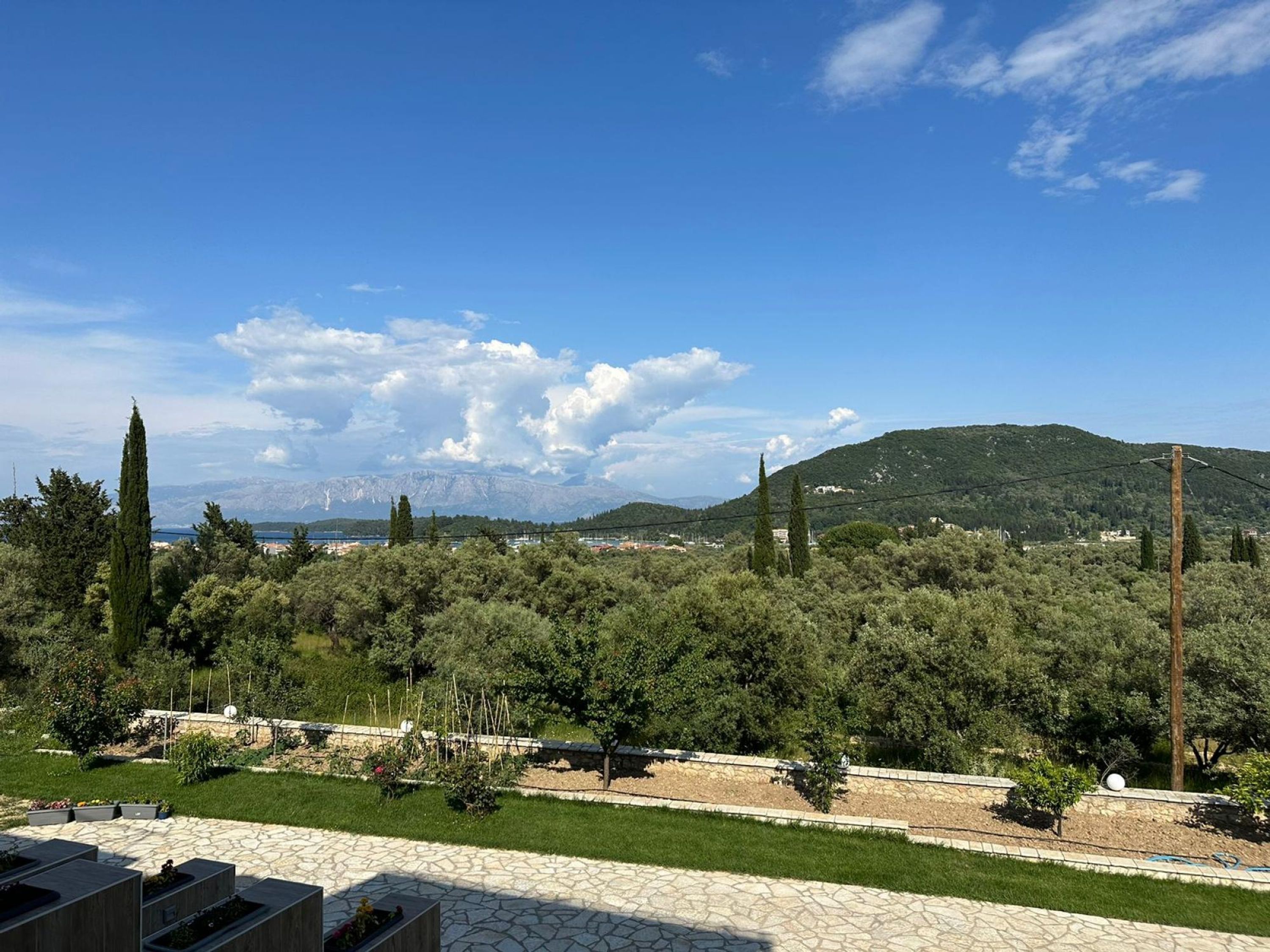 A landscaped garden with stone pathways, a variety of trees, and a distant mountain range under a clear sky.