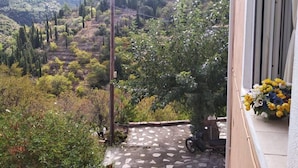 Un balcon offrant une vue sur un paysage montagneux, une moto et une composition florale.