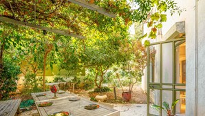 An outdoor patio with a wooden table set for dining, surrounded by lush greenery and a pergola. - Ben Yehouda Jonquille (Tel Aviv-Yafo)