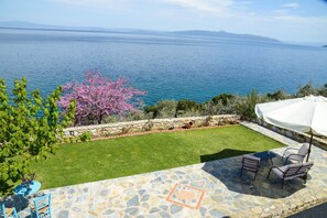 Terras