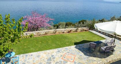 Goddess Athena Apartment