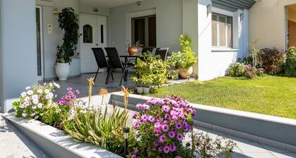 Zant house Trikala town