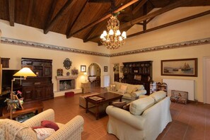 TV, fireplace, offices - Villa Christina in Evia (Evia)