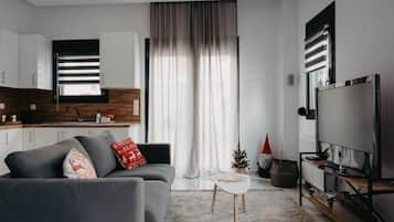 Télévision