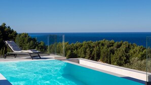 Uma piscina infinita moderna com vista clara para o mar e uma fileira de árvores ao fundo.