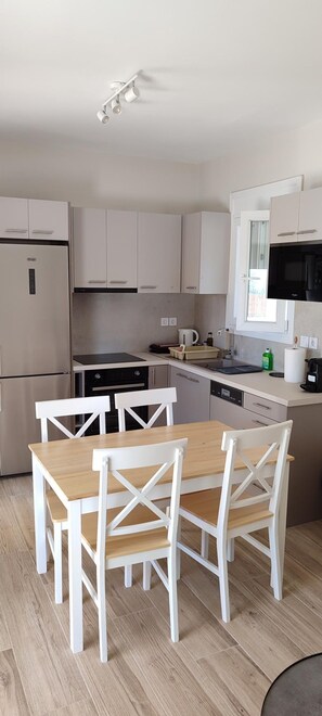 Fridge, microwave, oven, stovetop - Two Bedroom Villa - Villa 1 (Agios Nikitas)
