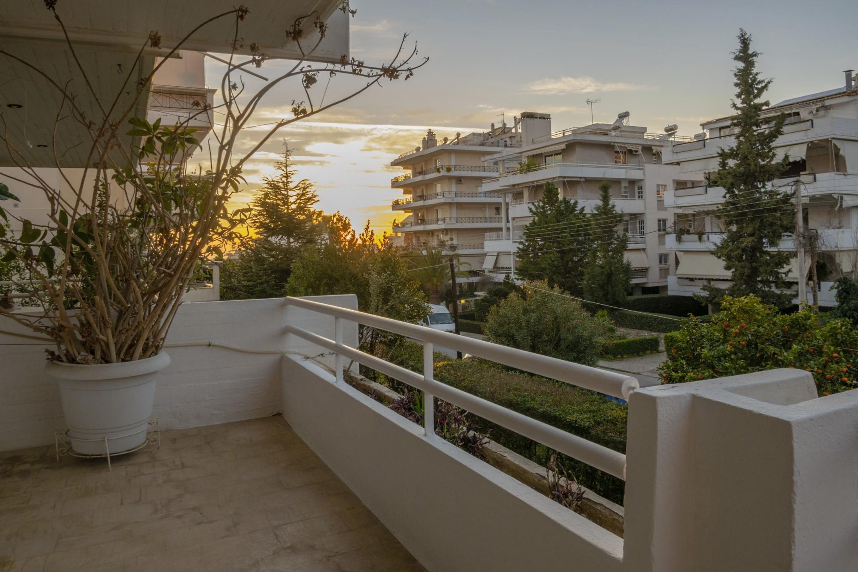A balcony with a potted plant, a white railing, and a view of residential buildings and greenery during sunset.