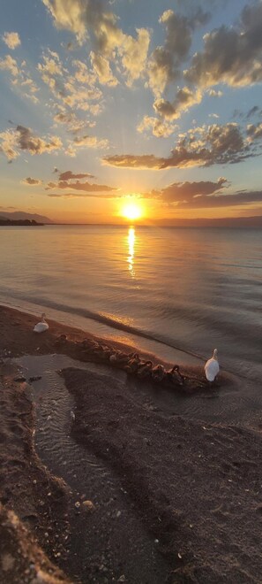 Beach - Daphnus Apartment in Agios Konstantinos (Agios Konstantinos)