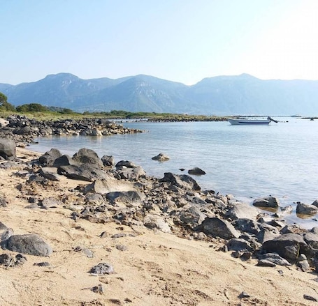 Beach. Daphnus Apartment in Agios Konstantinos