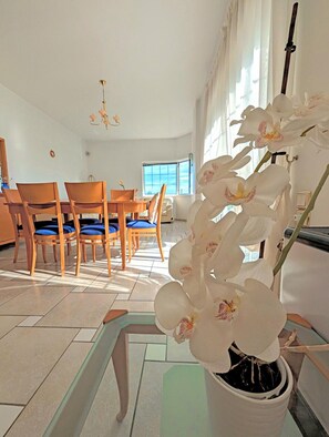 A dining area with a table and chairs, a potted orchid, and a window with curtains.