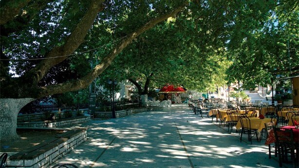 Un área de café al aire libre con mesas y sillas bajo árboles grandes, un banco de piedra y una estructura de techo rojo al fondo.