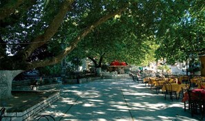 An outdoor cafe area with tables and chairs under large trees, a stone bench, and a red-roofed structure in the background. - EAR - house  Karia Lefkada (Lefkada)