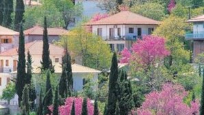 Una zona residencial en una ladera, con casas, cipreses y arbustos florecientes.