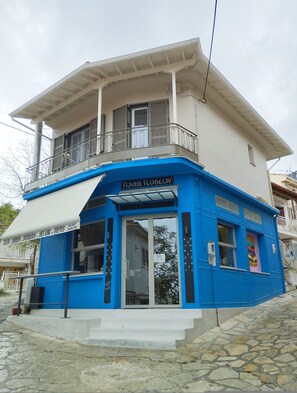 Exterior detail - EAR - house  Karia Lefkada (Lefkada)