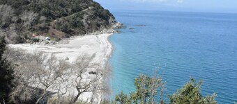 Ovrios  Triple  Studio