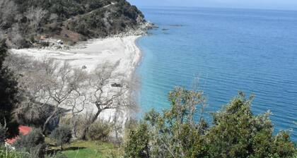 Ovrios Triple Studio