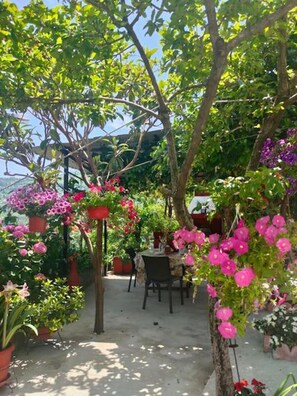 Outdoor dining - Hara's  House  Pelion (Makrirrachi)