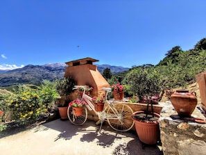 Property grounds - Thymes traditional house (Loulos)