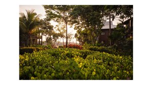 Un jardin luxuriant, avec une grande variété de plantes et d’arbres, un bâtiment à la façade rouge et un ciel dégagé.
