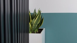Een witte plantenbak met een plantje tegen een muur in teal en wit, met een gedeeltelijk zichtbaar zwart, verticaal element.
