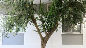 A tree in front of a modern building with a white facade and large windows.