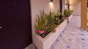 A hotel corridor with numbered doors, potted plants, and patterned floor tiles. - Hotel Avila (Valladolid)