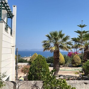 Property grounds - Sylvia's house at Vagia (Vagia)