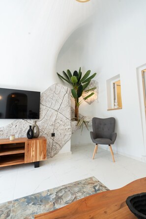 Un salon moderne avec un téléviseur à écran plat, un mur décoratif en pierre, une plante en pot, un fauteuil gris et une table basse en bois.