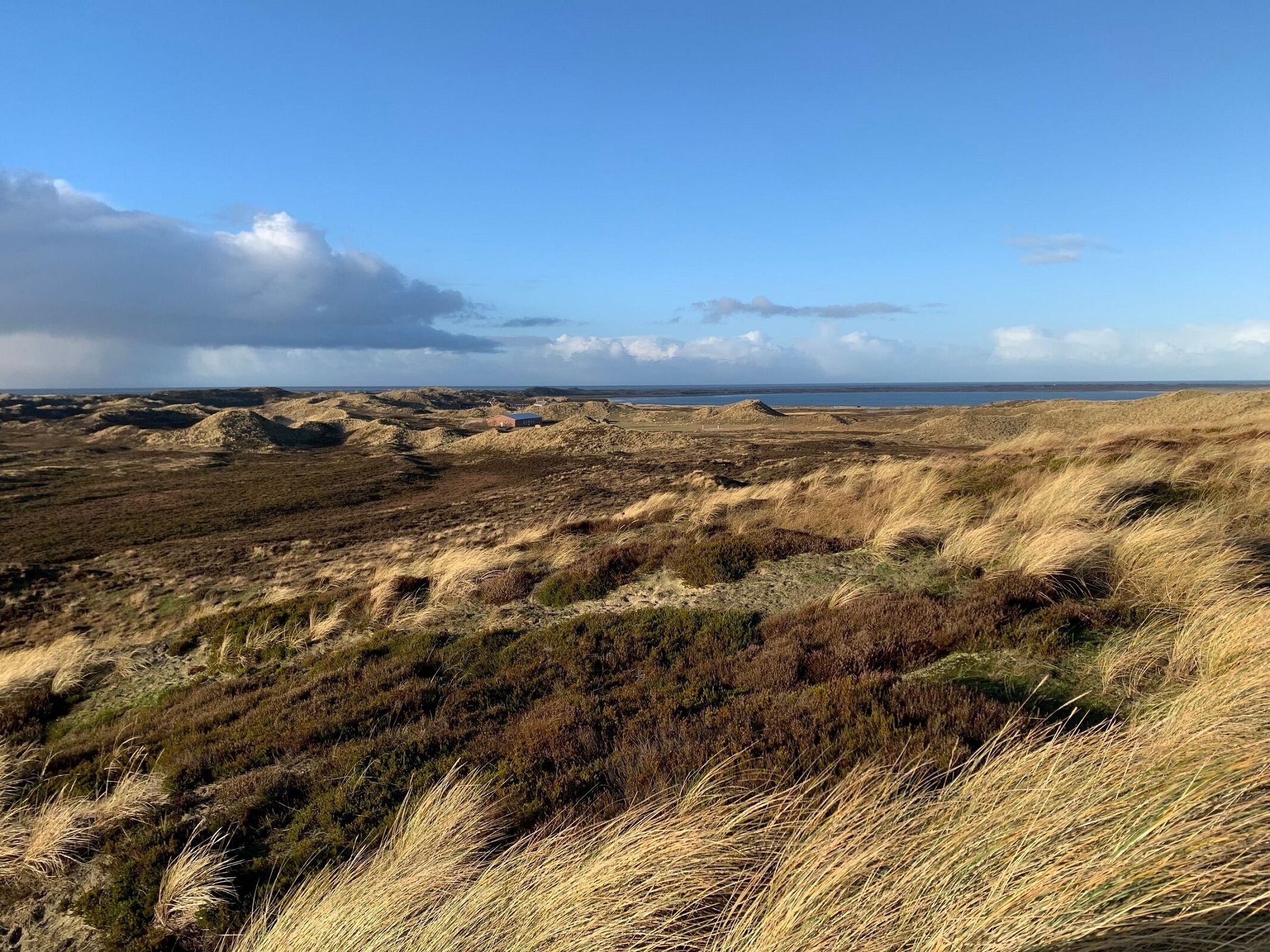 A coastal landscape with rolling dunes and a distant view of the sea.
