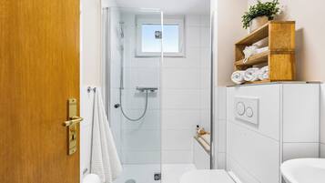 A modern bathroom with a glass shower enclosure, a toilet, and a sink.