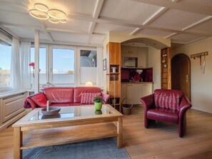 تلفزيون، مشغل دي في دي