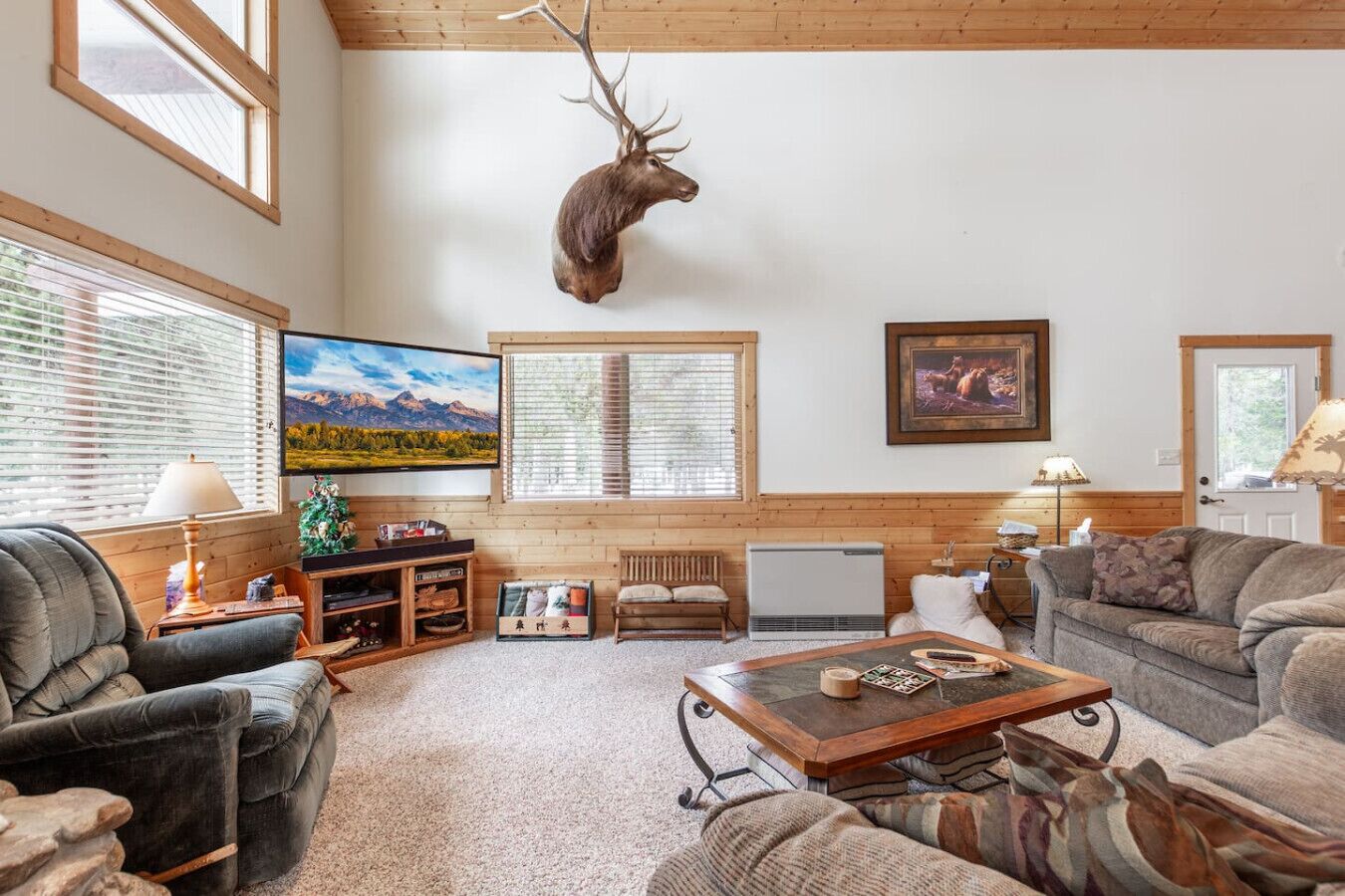 TV, fireplace, table tennis, video library