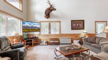 TV, fireplace, table tennis, video library