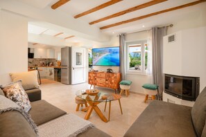 TV, books, offices - Villa Villekulla in Ionian Islands (Ionian Islands)