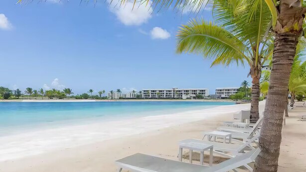 Una playa con sillas reclinables blancas y una palmera.
