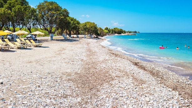 Ein Kiesstrand mit Liegestühlen und Sonnenschirmen, ein klares blaues Meer und Bäume entlang der Küste.