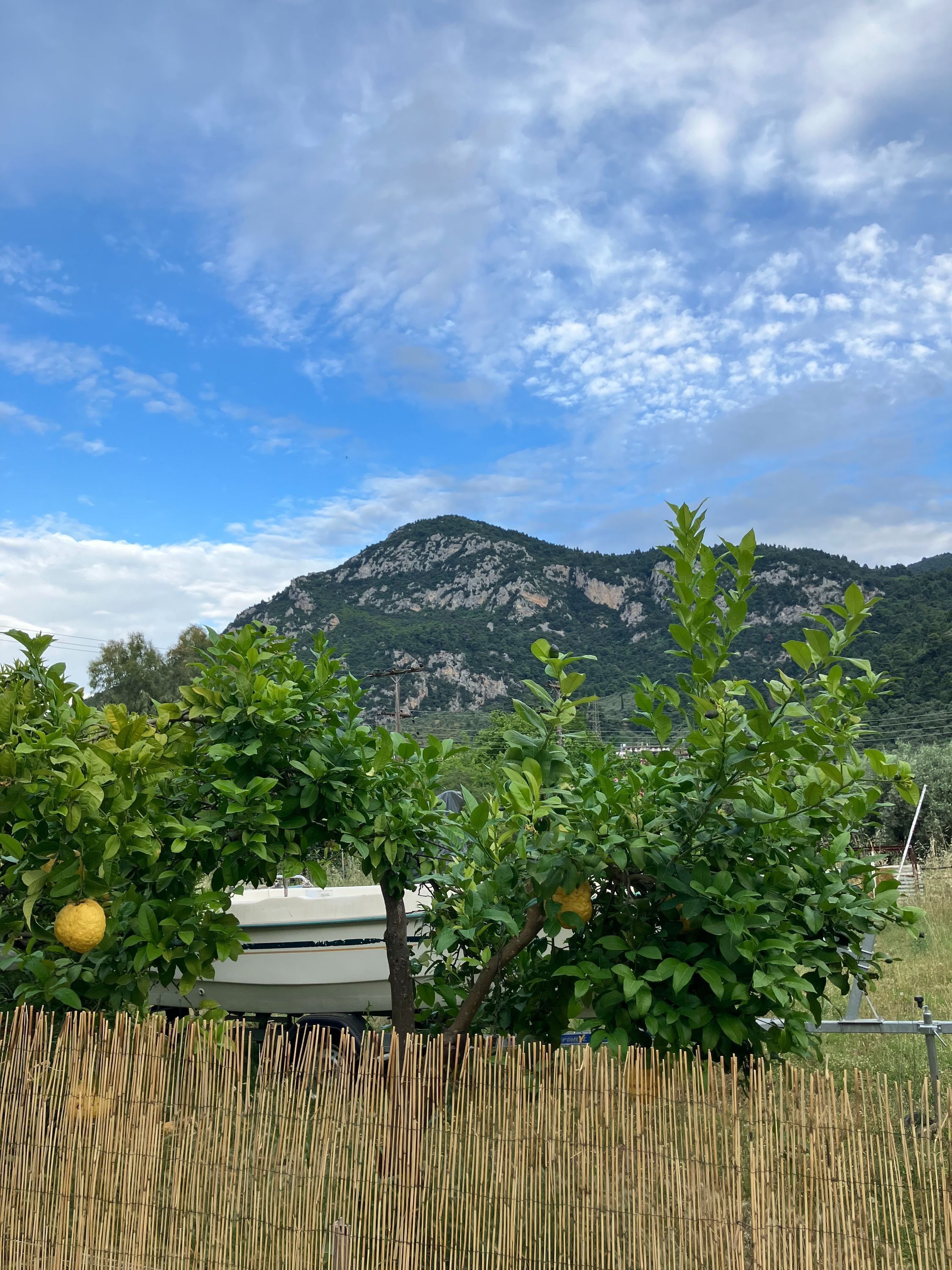 Área da propriedade