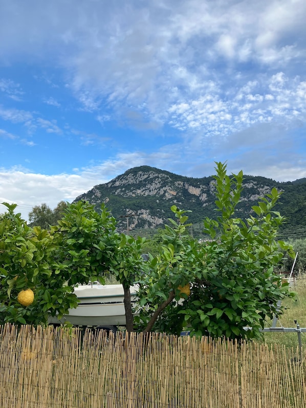 A mountain landscape with a clear sky and a vehicle partially visible behind a bamboo fence.