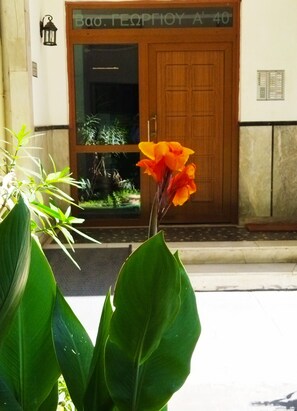 Entrada de um edifício com porta de madeira, uma placa acima da porta e uma janela com plantas no interior.