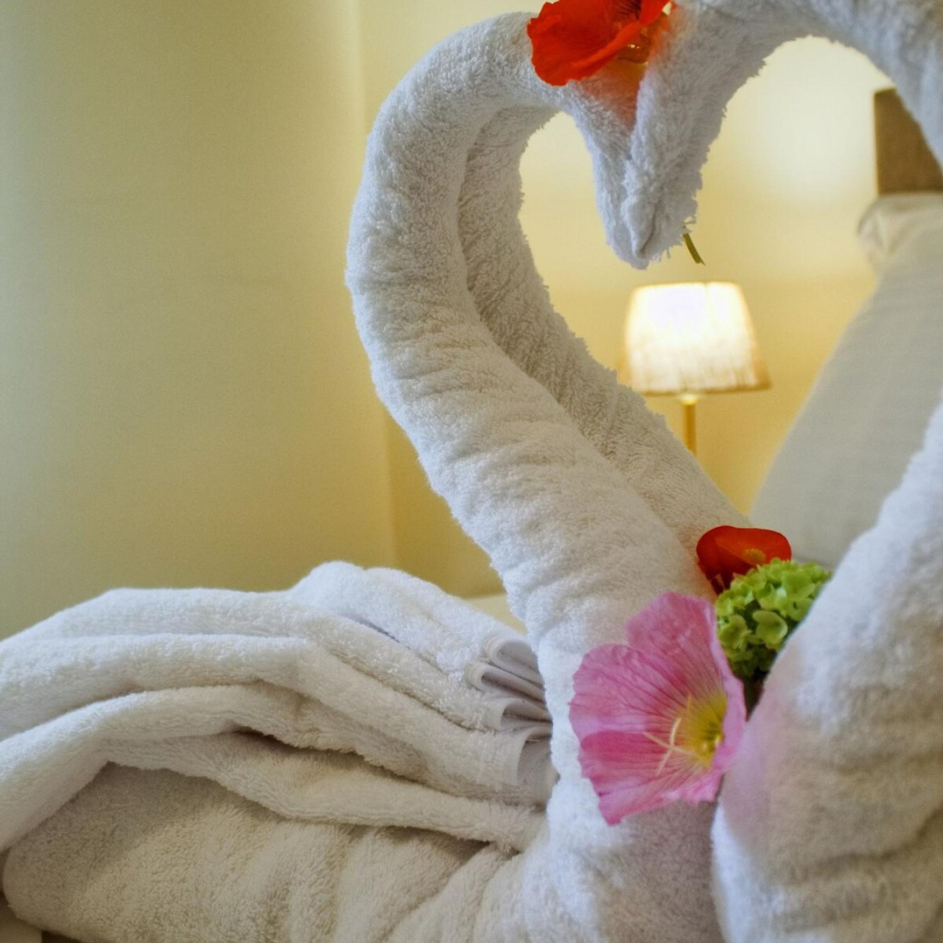 A plush, white towel shaped like a swan with a red flower and a pink flower attached.