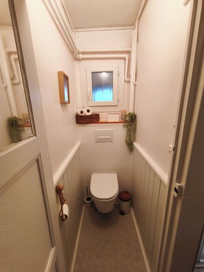 Shower, hair dryer, bidet, towels