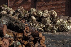 Imagem sem classificação, 4 de 32, botão