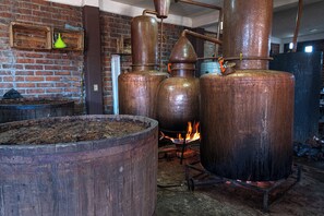 Fireplace - Cuanax Hotel (San Pedro de los Pozos)