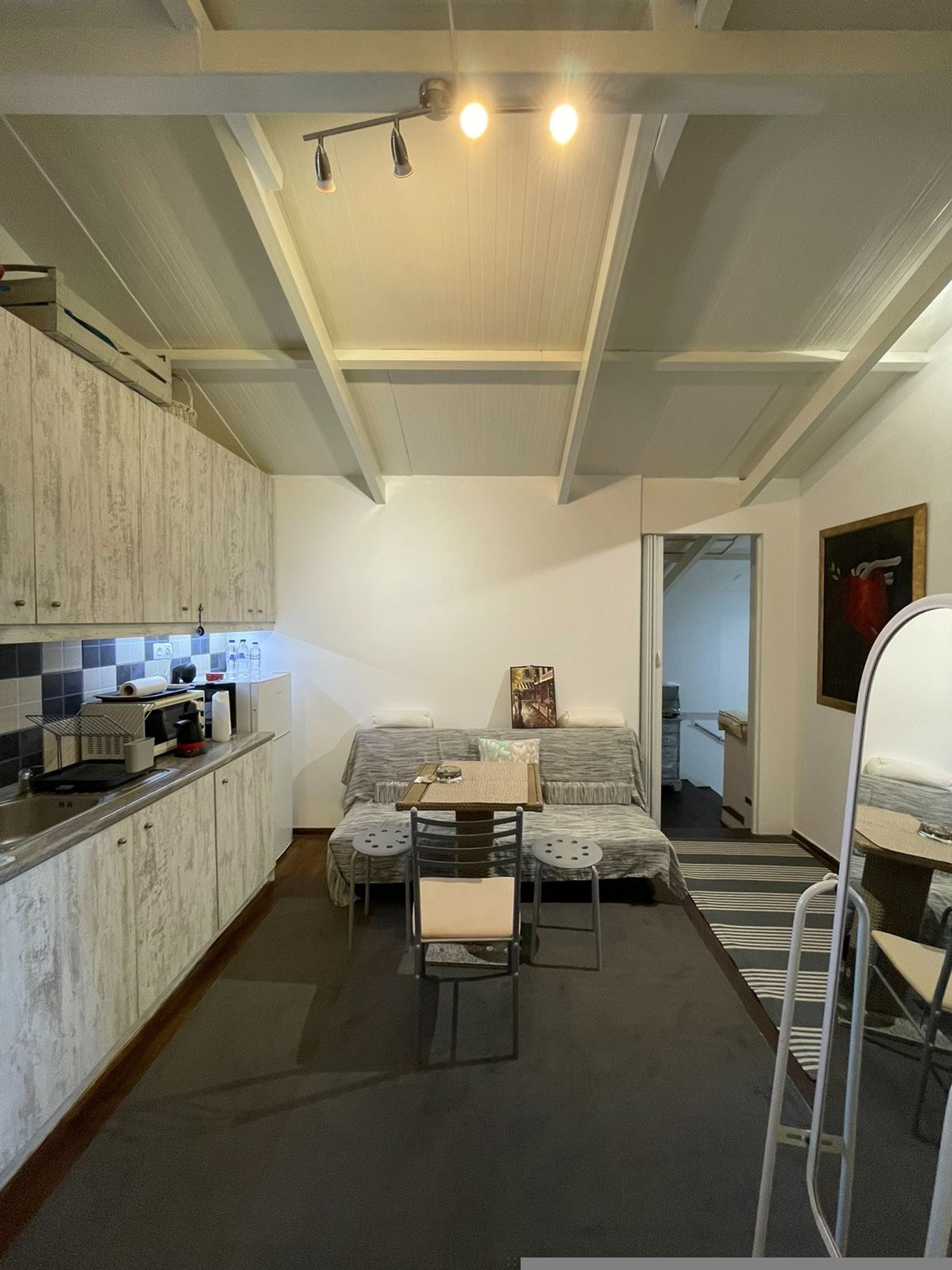 A compact living space with a kitchenette, a sofa, a dining table, and a pet bed.
