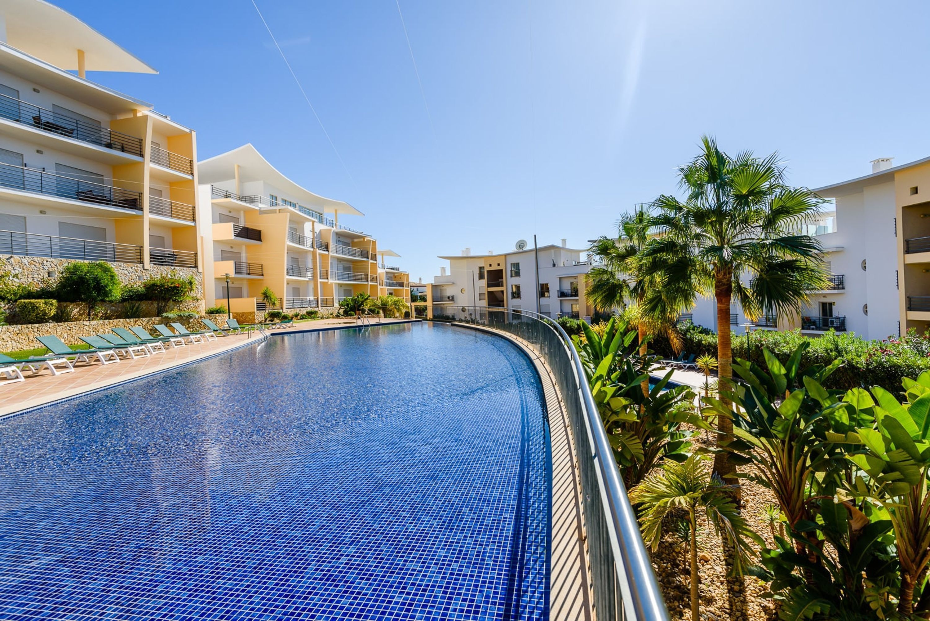 Una piscina con bordo piastrellato, circondata da edifici moderni con balconi e una palma.